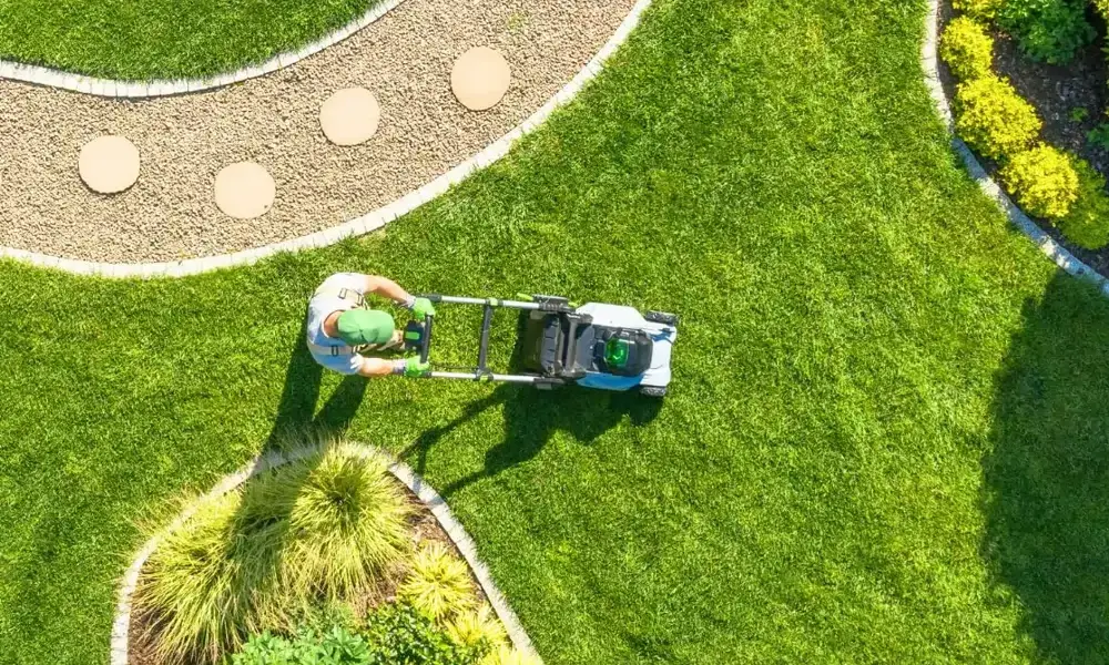 Grünpflege Garten Landschaftsbau Bernburg Köthen Aschersleben Schönebeck Calbe Nienburg Staßfurt