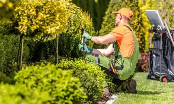 Garten Landschaftsbau Grünanlagenpflege Gartenarbeit Hilfe umbauen graben Baggern Gartenanlage