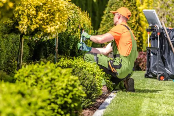 Garten- & Grünanlagenpflege - Gartengestaltung - Gartenpflege Gärtnerarbeiten, Rasenmähen